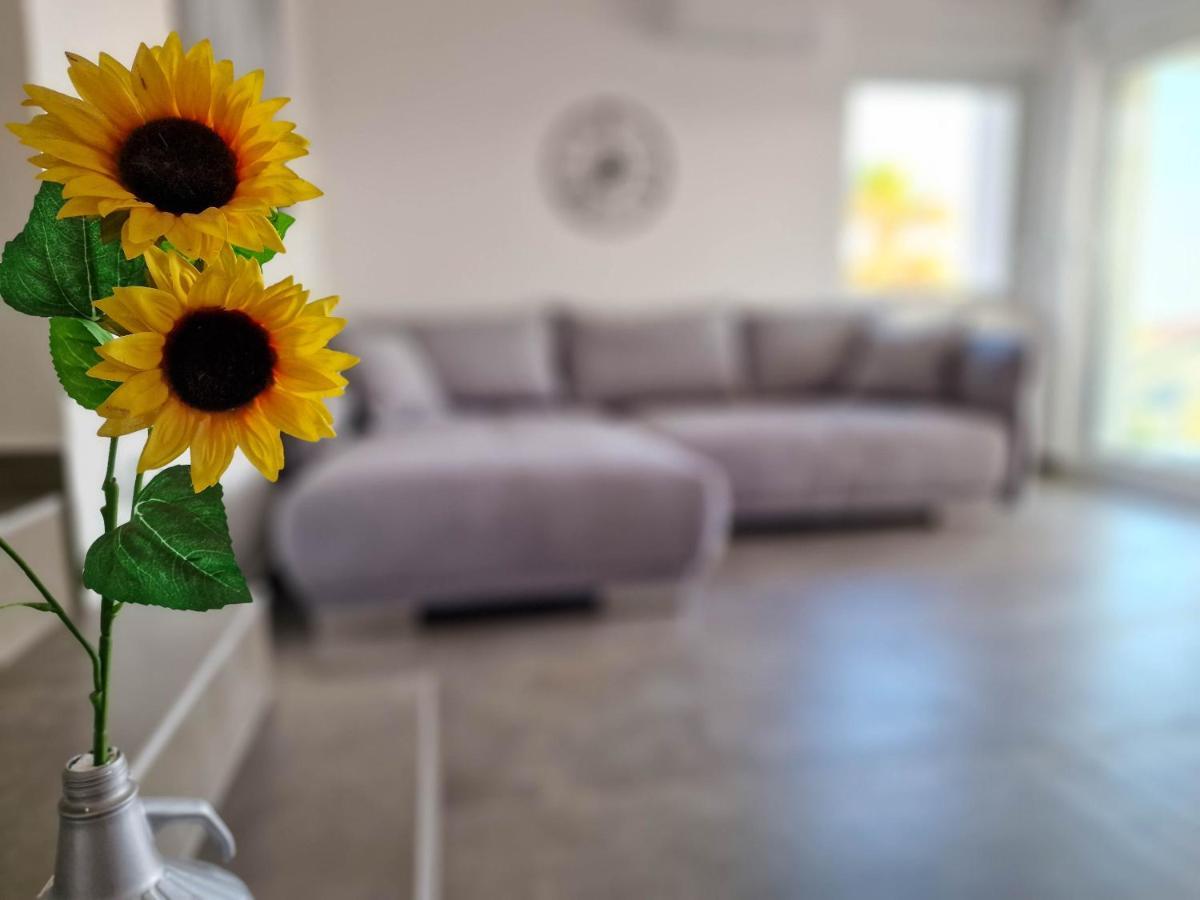 Villa Poseidon Novalja Eksteriør bilde